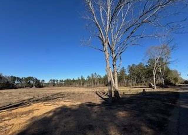 Property at Lot 2 Dinan Salem Rd, Tylertown, MS 39667