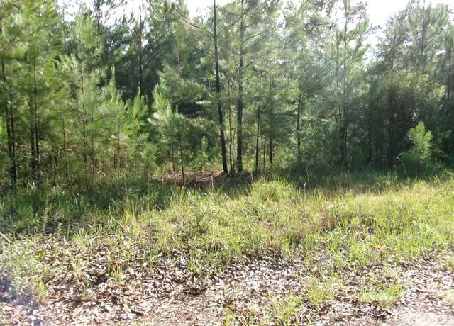 Property at 00 George Bennett Road/rankin Rd, Sontag, MS 39665