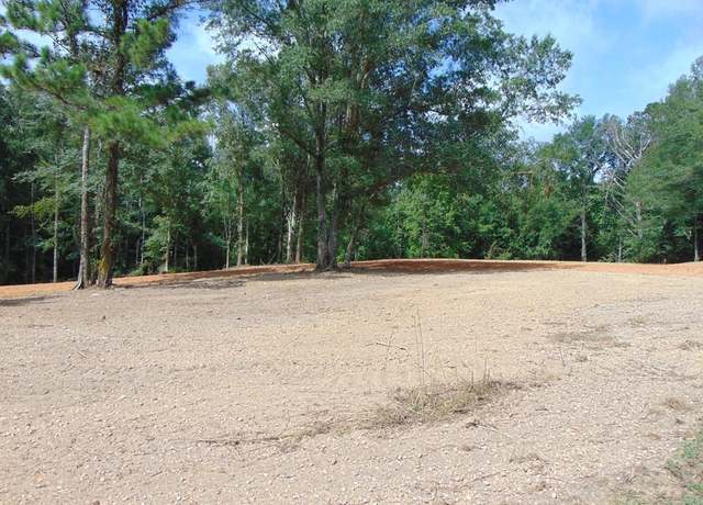 Property at 0 1005 Tarver Ln, Wesson, MS 39191
