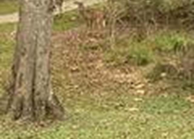 Property at 251 Saint Paul Rd, Sandy Hook, MS 39443