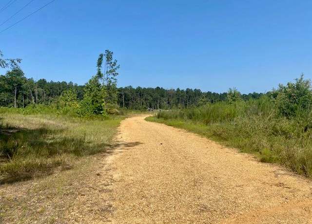 Property at 0 Robert Jones Rd, Summit, MS 39666