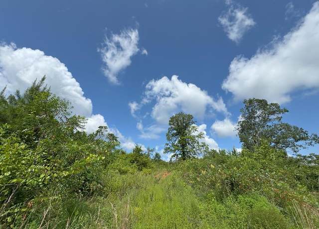 Property at 0 Off Hutson Morris Rd, Columbia, MS 39429
