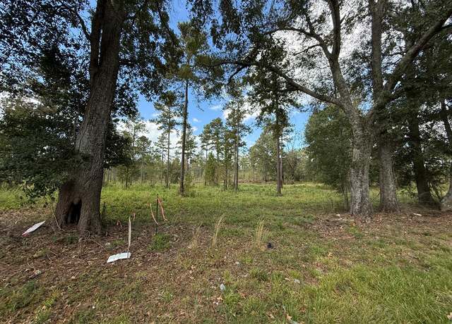 Property at LOT # 5 Old Hwy 33, Centreville, MS 39631