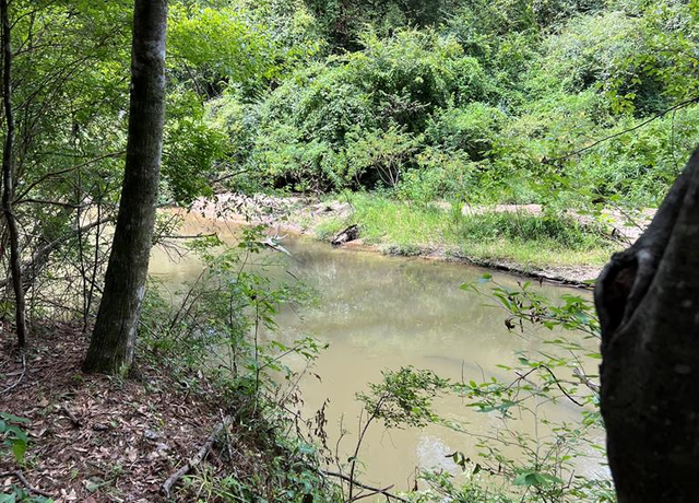 Property at TBD Catbird Ln, Magnolia, MS 39652