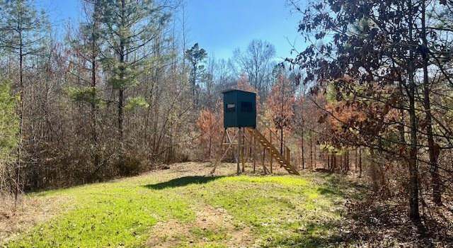 Photo of 12584 Red Lick Rd, MS 39096