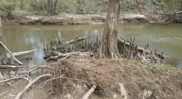 Photo of 1096 Beaver Creek Rd, Summit, MS 39666