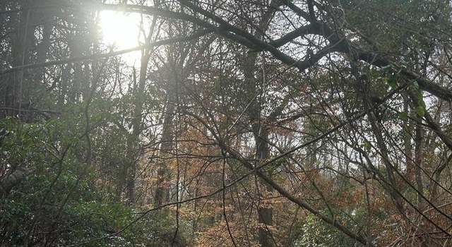 Photo of 000 Mose Hilliard Rd, Sontag, MS 39191