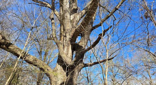 Photo of 1732 Julius Gibbs Rd, MS 39096