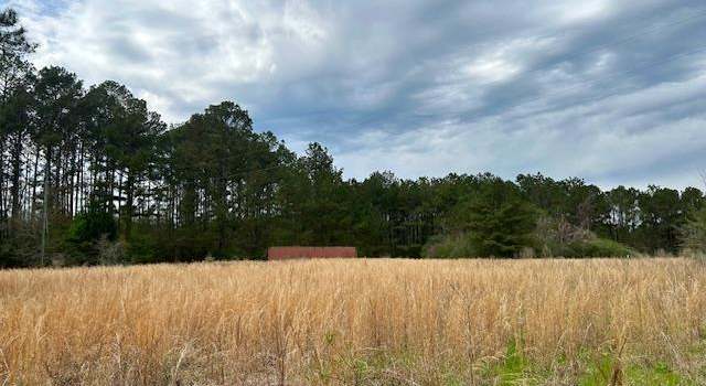 Photo of 431 Bass Burkett Rd, Carson, MS 39427