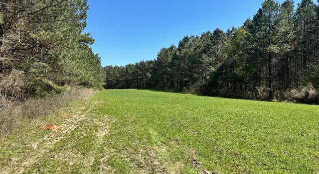 Photo of 0000 Crossroads, MS 11111