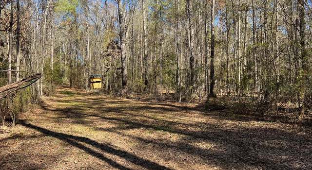 Photo of XXX County Line Rd, Summit, MS 39666