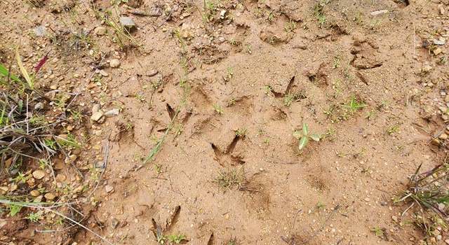 Photo of TBD Valley Ln, Summit, MS 39666