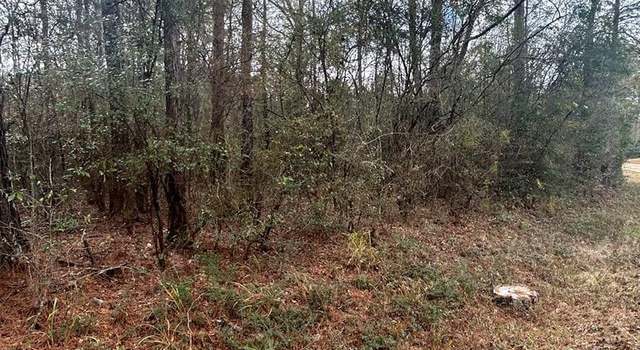 Photo of 0 Conerly Dr, Mccomb, MS 39648