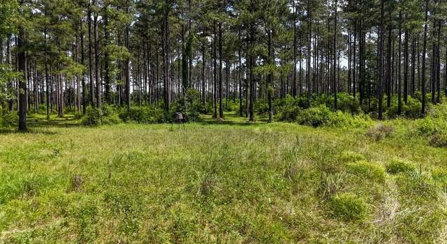 Photo of 8937 Velma Ln, Magnolia, MS 39652