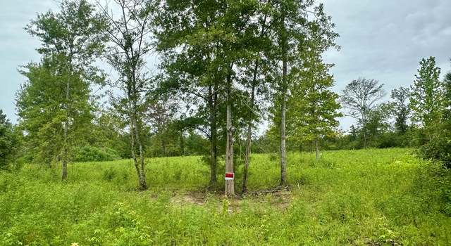 Photo of TBD Bahalia Rd NE, Wesson, MS 39191