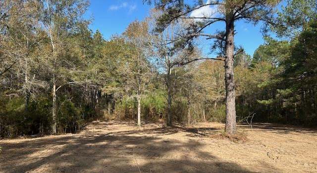 Photo of 0 Highway 570, Summit, MS 39666