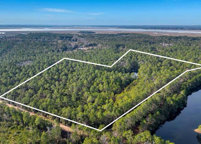 Property at 0 Steeple Chase Ln, Richmond Hill, GA 31324