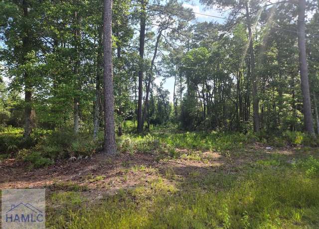 Property at 2.30 GA Highway 196, Hinesville, GA 31313