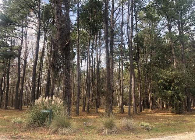Property at Lt 12 Black Cypress Dr, Darien, GA 31305