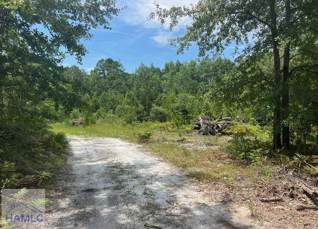 Property at 6.2 acre Tibet Hwy SE, Ludowici, GA 31319