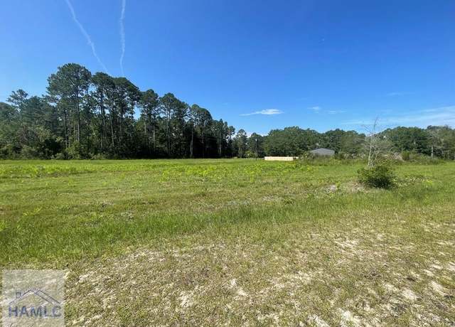 Property at 1 AC Lot Linden Bluff Rd, Jesup, GA 31545