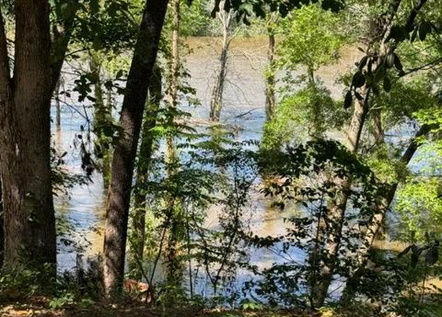 Property at Lot 9 Moss Lndg, Jesup, GA 31545
