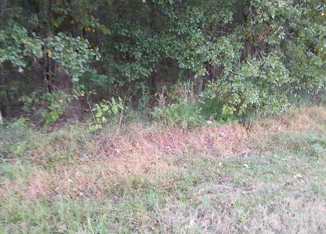 Property at 000 East Oglethorpe Hwy, Midway, GA 31313