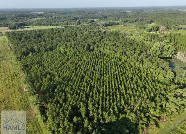 Property at 0 Oglethorpe Rd, Jesup, GA 31545