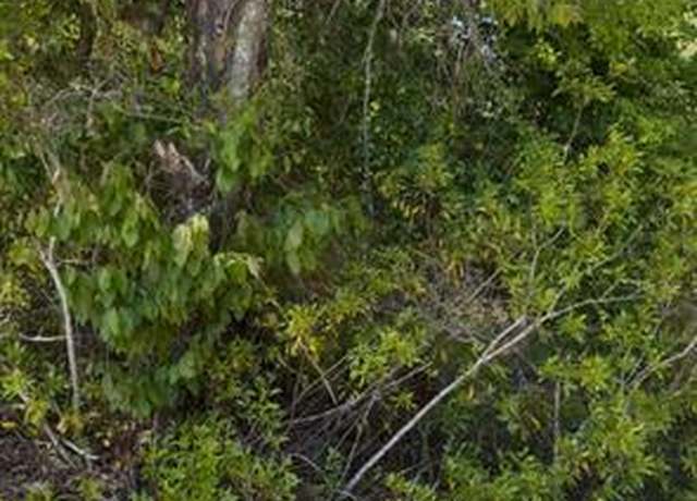 Property at 0N E C. Knight Rd, Jesup, GA 31546