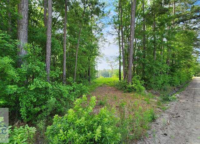 Property at 0 Carlyene Dr, Midway, GA 31320