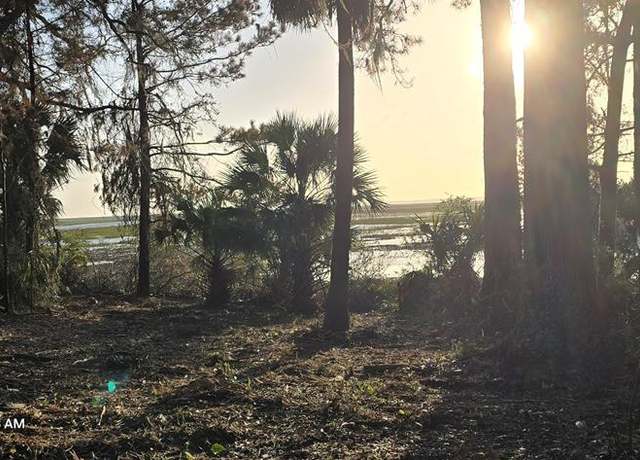 Property at Lot 1 Youmans Rd, Midway, GA 31320