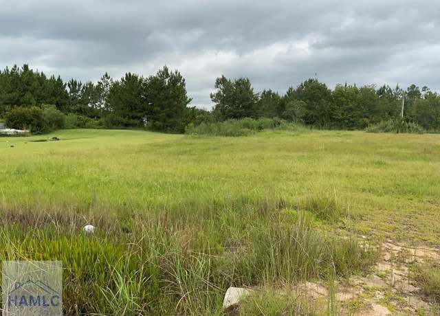 Property at 1305 Elim Church Rd, Ludowici, GA 31316