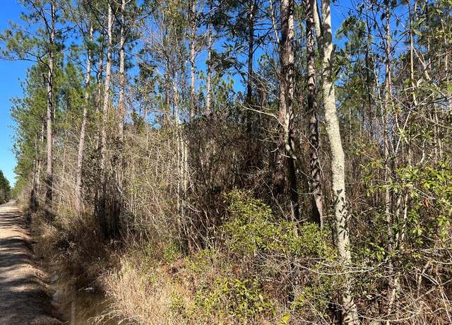 Property at Tract 4 County-line Rd S, Jesup, GA 31545