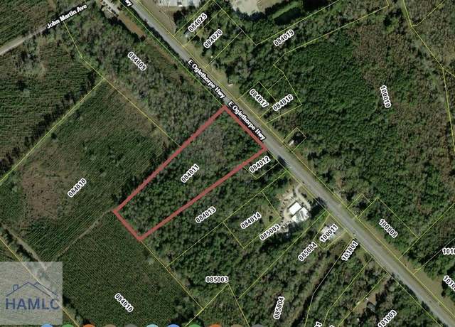 Property at 9.33 AC East Oglethorpe Hwy, Flemington, GA 31313