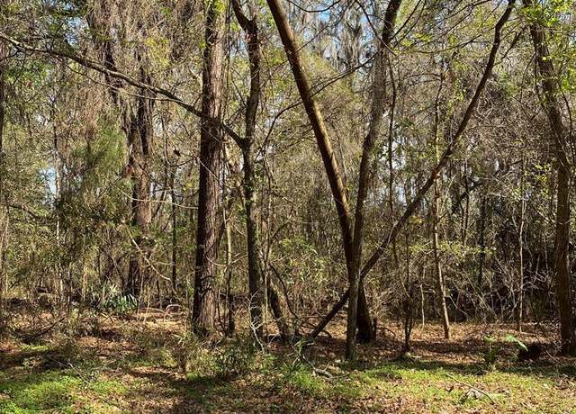 Property at 3 and M3 Big Oak Rd, Riceboro, GA 31323