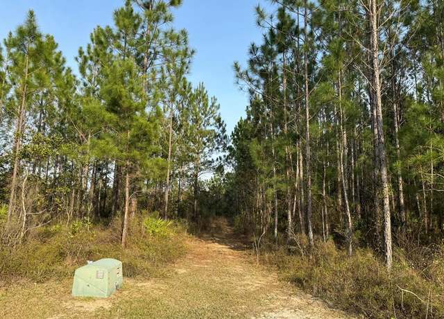 Property at 1139 Henry Walcott Rd, Ludowici, GA 31316