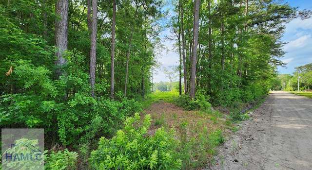 Photo of 0 Carlyene Dr, Midway, GA 31320