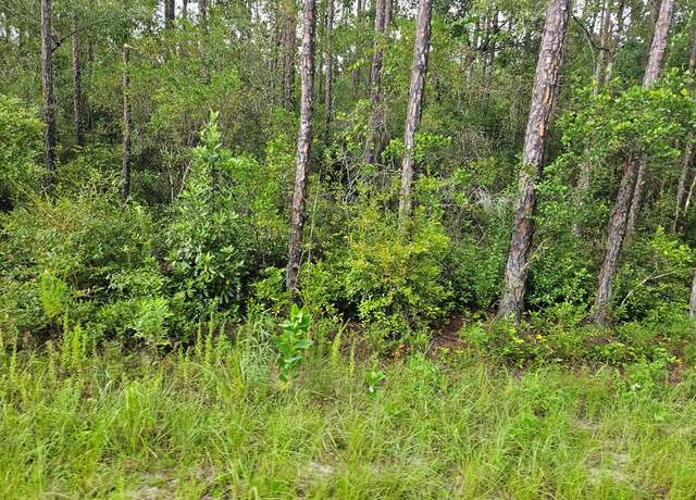 Property at TBD Mace Martin Rd, Wewahitchka, FL 32465