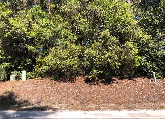 Property at 159 Royal Tern Way, Carrabelle, FL 32322