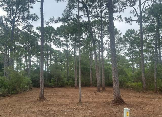 Property at 208 Royal Tern Way, Carrabelle, FL 32322