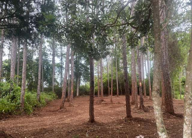 Property at 156 Royal Tern Way, Carrabelle, FL 32322