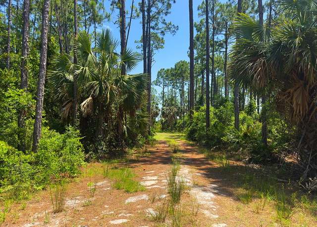 Property at 10584 Cr 30-a, Port St. Joe, FL 32456