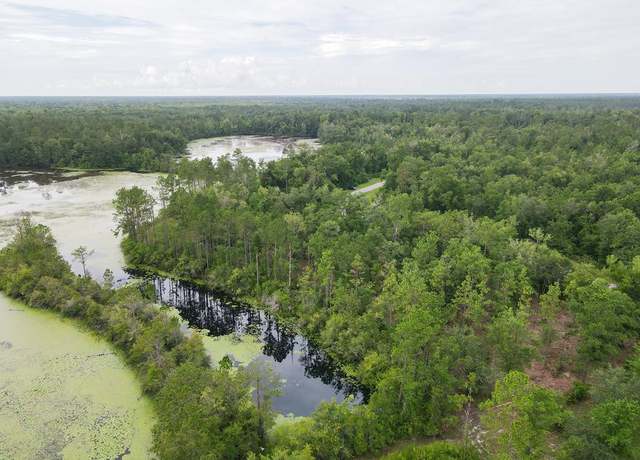 Property at Lot 20 Seven Springs Dr, Wewahitchka, FL 32465