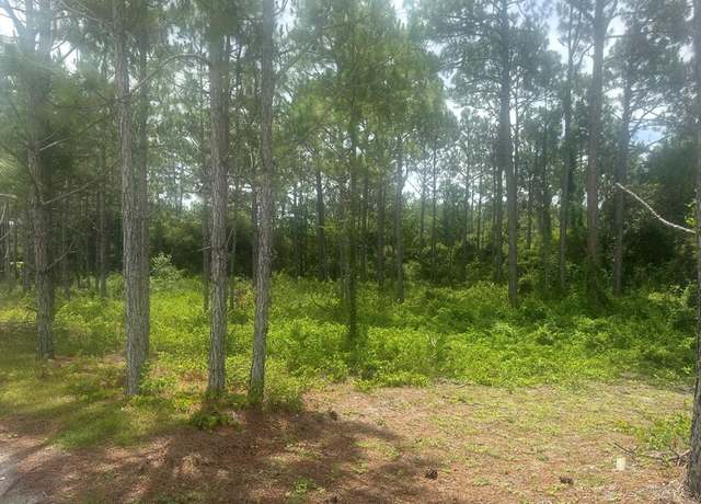 Property at 115 Plover Ct, Carrabelle, FL 32323