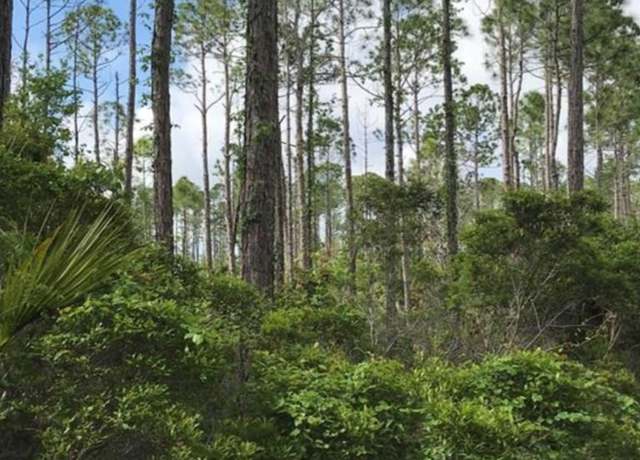Property at 1073 Sr 65, Eastpoint, FL 32328