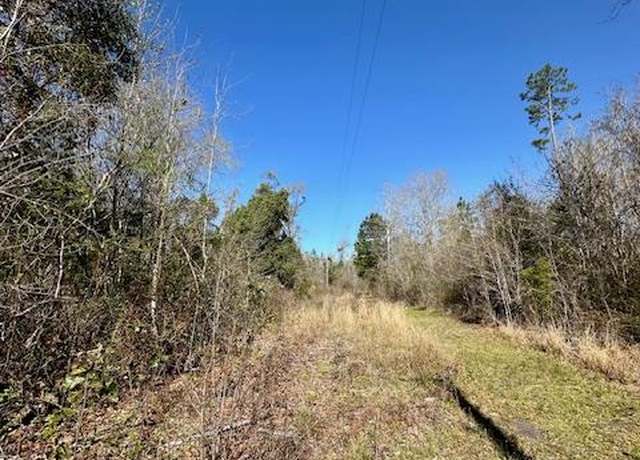 Property at Lot 4 Pineview Dr, Wewahitchka, FL 32465