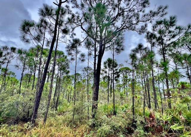 Property at 2005 Sand Dollar Trl, St. George Island, FL 32328