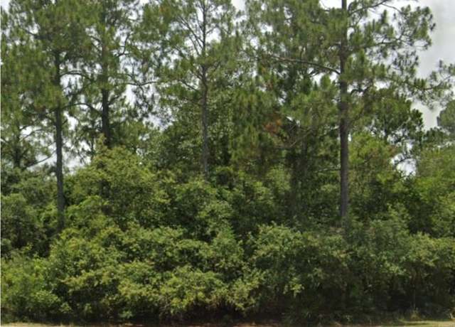 Property at 162 Skimmer Dr, Carrabelle, FL 32323