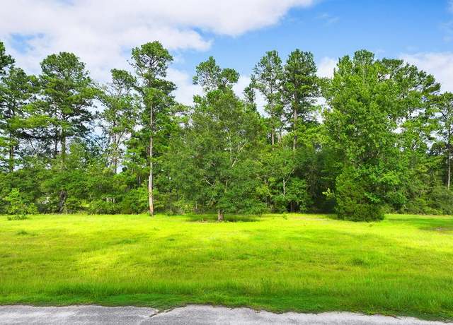 Property at TBD Stanley Dr, Wewahitchka, FL 32465