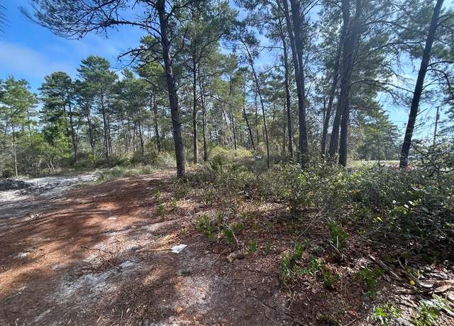 Property at 1863 Lighthouse Rd, Carrabelle, FL 32322